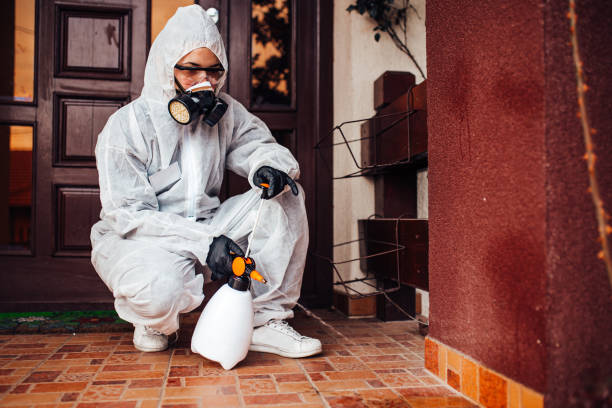 Reliable Ant Control contractor in Buies Creek, NC by Show Me Pest Control
